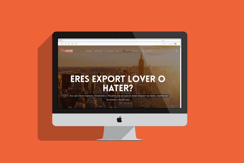 diseño página web consultor exportación