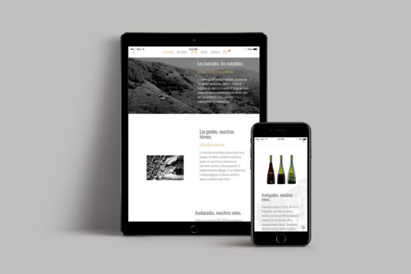 pilares-belesar-web-ipad-1 pilares-belesar-web-ipad-1